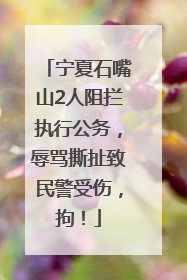 宁夏石嘴山2人阻拦执行公务，辱骂撕扯致民警受伤，拘！