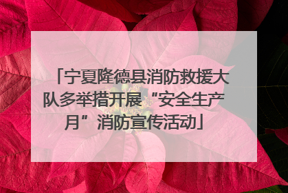 宁夏隆德县消防救援大队多举措开展“安全生产月”消防宣传活动