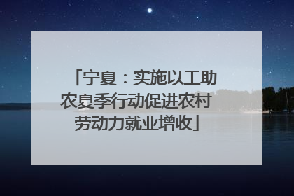 宁夏：实施以工助农夏季行动促进农村劳动力就业增收