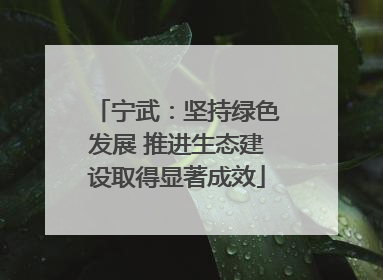 宁武：坚持绿色发展 推进生态建设取得显著成效