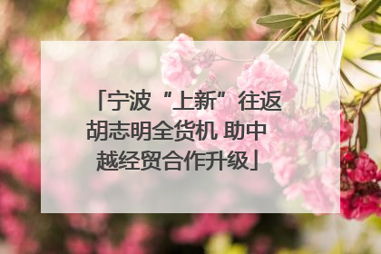 宁波“上新”往返胡志明全货机 助中越经贸合作升级