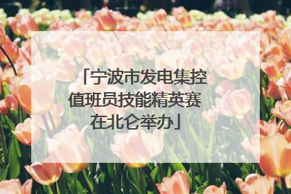 宁波市发电集控值班员技能精英赛在北仑举办