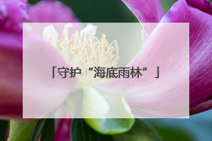 守护“海底雨林”