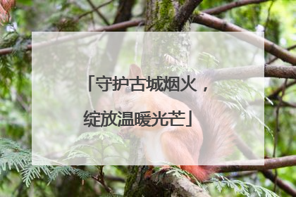 守护古城烟火，绽放温暖光芒