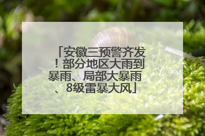 安徽三预警齐发！部分地区大雨到暴雨、局部大暴雨、8级雷暴大风