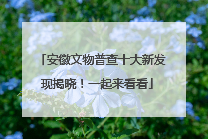 安徽文物普查十大新发现揭晓！一起来看看
