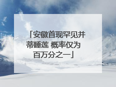 安徽首现罕见并蒂睡莲 概率仅为百万分之一