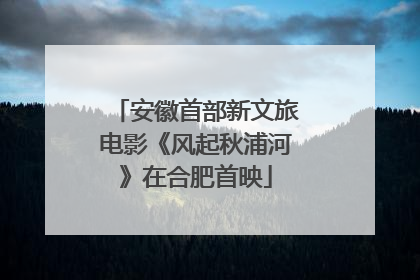 安徽首部新文旅电影《风起秋浦河》在合肥首映