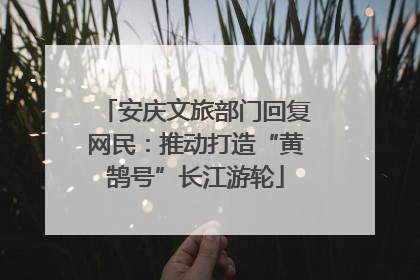 安庆文旅部门回复网民：推动打造“黄鹄号”长江游轮