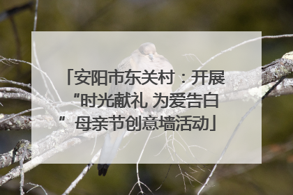 安阳市东关村：开展“时光献礼 为爱告白”母亲节创意墙活动