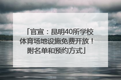 官宣：昆明40所学校体育场地设施免费开放！附名单和预约方式