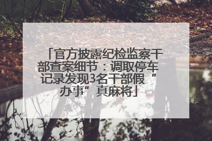 官方披露纪检监察干部查案细节：调取停车记录发现3名干部假“办事”真麻将