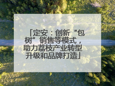 定安：创新“包树”销售等模式，助力荔枝产业转型升级和品牌打造
