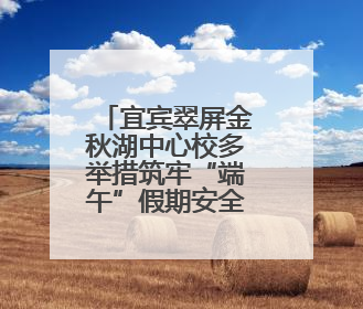 宜宾翠屏金秋湖中心校多举措筑牢“端午”假期安全防线
