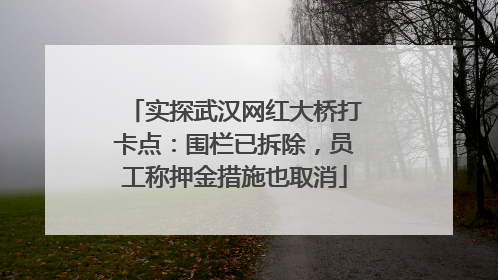 实探武汉网红大桥打卡点：围栏已拆除，员工称押金措施也取消