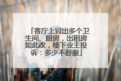 客厅上冒出多个卫生间、厨房，出租房如此改，楼下业主投诉：多少不舒服