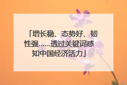 增长稳、态势好、韧性强……透过关键词感知中国经济活力
