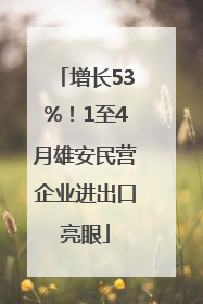 增长53%！1至4月雄安民营企业进出口亮眼