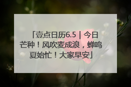 壹点日历6.5｜今日芒种！风吹麦成浪，蝉鸣夏始忙！大家早安