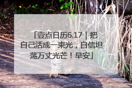 壹点日历6.17｜把自己活成一束光，自信坦荡万丈光芒！早安