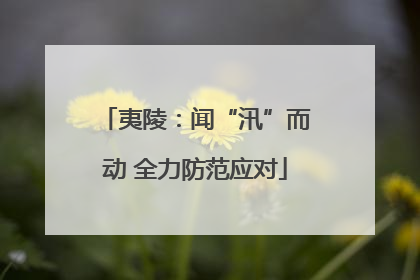 夷陵：闻“汛”而动 全力防范应对