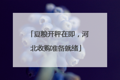 夏粮开秤在即，河北收购准备就绪