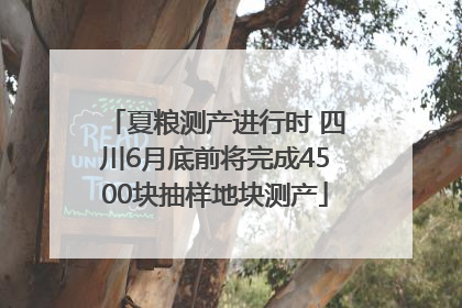 夏粮测产进行时 四川6月底前将完成4500块抽样地块测产