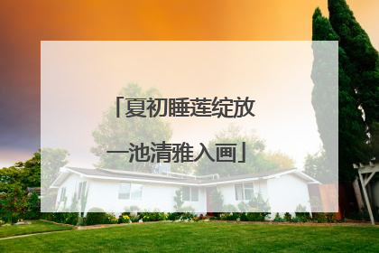 夏初睡莲绽放 一池清雅入画