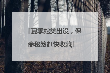 夏季蛇类出没，保命秘笈赶快收藏