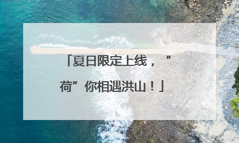 夏日限定上线，“荷”你相遇洪山！