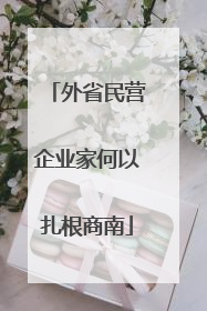 外省民营企业家何以扎根商南