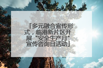 多元融合宣传形式，临港新片区开展“安全生产月”宣传咨询日活动
