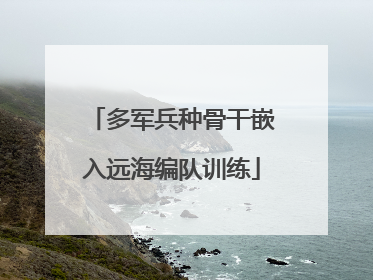 多军兵种骨干嵌入远海编队训练