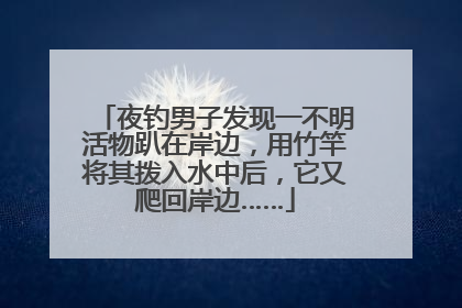夜钓男子发现一不明活物趴在岸边，用竹竿将其拨入水中后，它又爬回岸边……