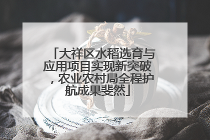 大祥区水稻选育与应用项目实现新突破，农业农村局全程护航成果斐然