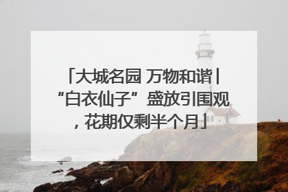 大城名园 万物和谐│“白衣仙子”盛放引围观，花期仅剩半个月