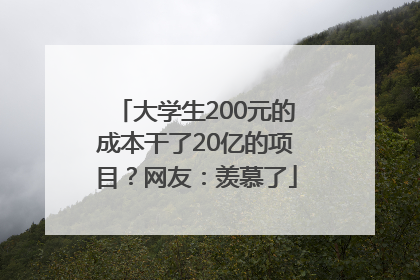 大学生200元的成本干了20亿的项目？网友：羡慕了