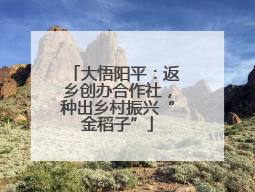 大悟阳平：返乡创办合作社，种出乡村振兴“金稻子”