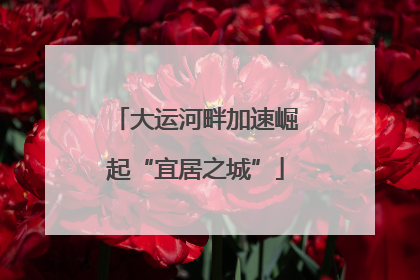 大运河畔加速崛起“宜居之城”