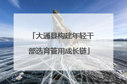 大通县构建年轻干部选育管用成长链
