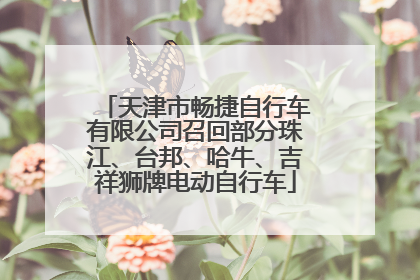 天津市畅捷自行车有限公司召回部分珠江、台邦、哈牛、吉祥狮牌电动自行车