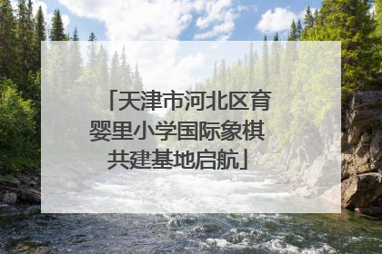 天津市河北区育婴里小学国际象棋共建基地启航