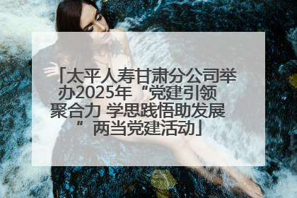 太平人寿甘肃分公司举办2025年“党建引领聚合力 学思践悟助发展”两当党建活动