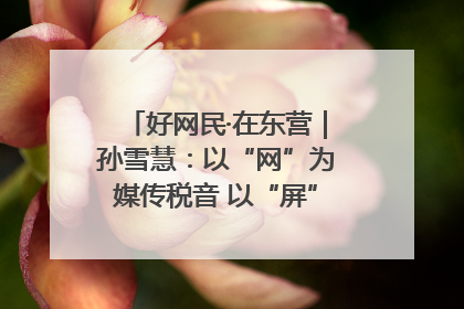 好网民·在东营｜孙雪慧：以“网”为媒传税音 以“屏”为介助发展