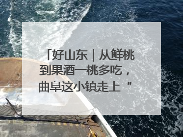 好山东｜从鲜桃到果酒一桃多吃，曲阜这小镇走上“桃”金路