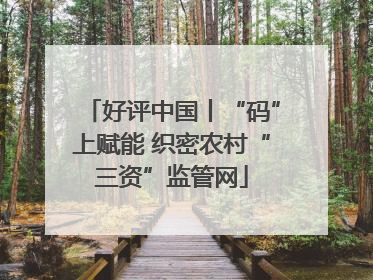 好评中国丨“码”上赋能 织密农村“三资”监管网