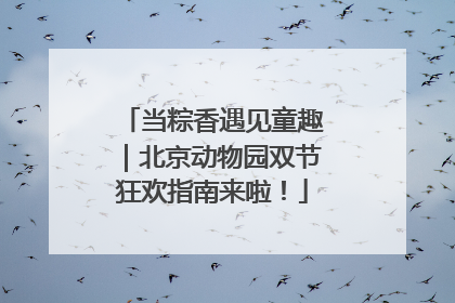 当粽香遇见童趣｜北京动物园双节狂欢指南来啦！