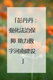 彭丹丹：强化法治保障 助力数字河南建设