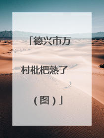德兴市万村枇杷熟了（图）