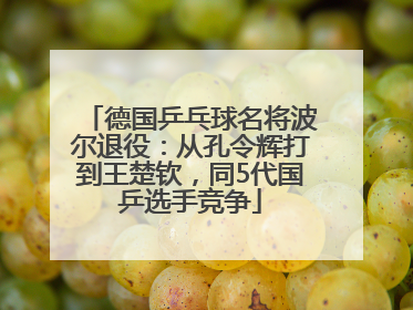 德国乒乓球名将波尔退役：从孔令辉打到王楚钦，同5代国乒选手竞争